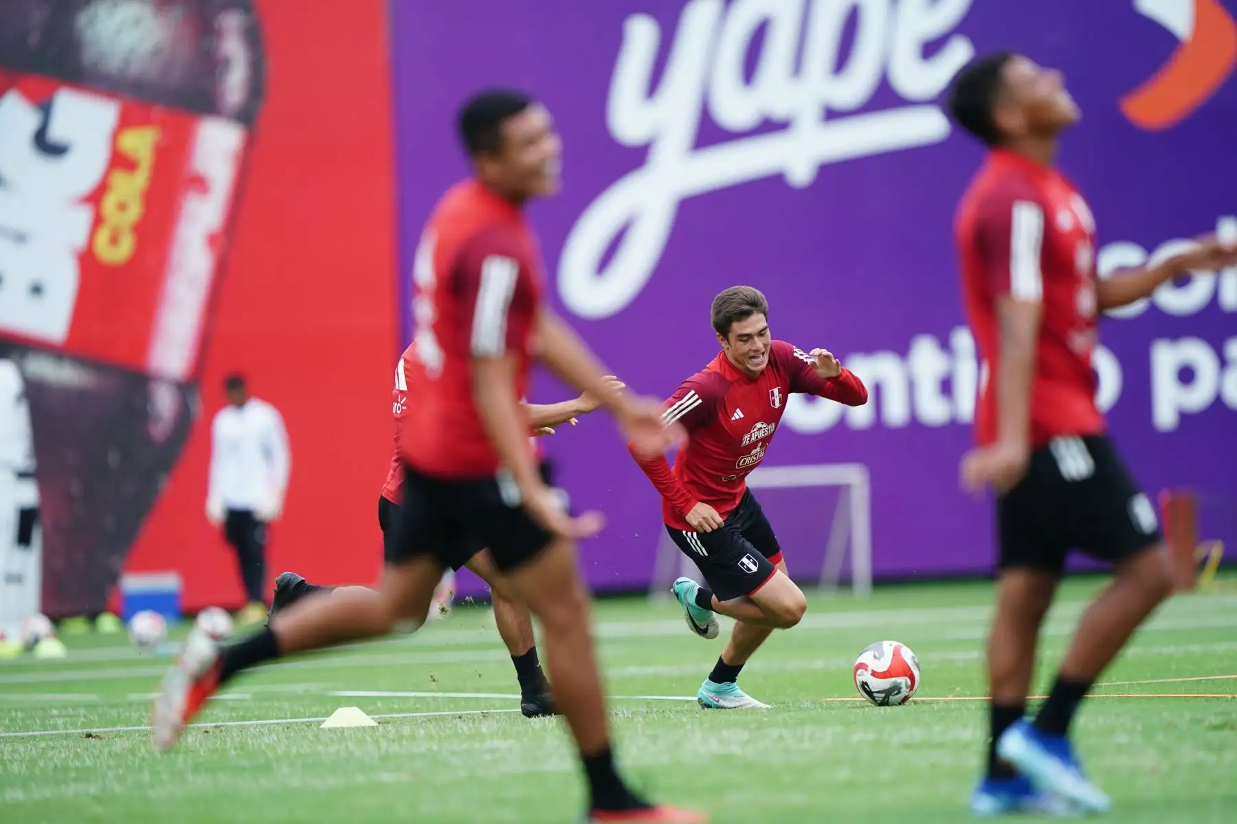 LaBicolor Sub 23 continúa entrenando en la Videna al mando de José Guillermo "Chemo" del Solar. El combinado nacional se prepara para competir en el CONMEBOL Preolímpico 2024 que se disputará en Venezuela.
Foto: ANDINA/FPF