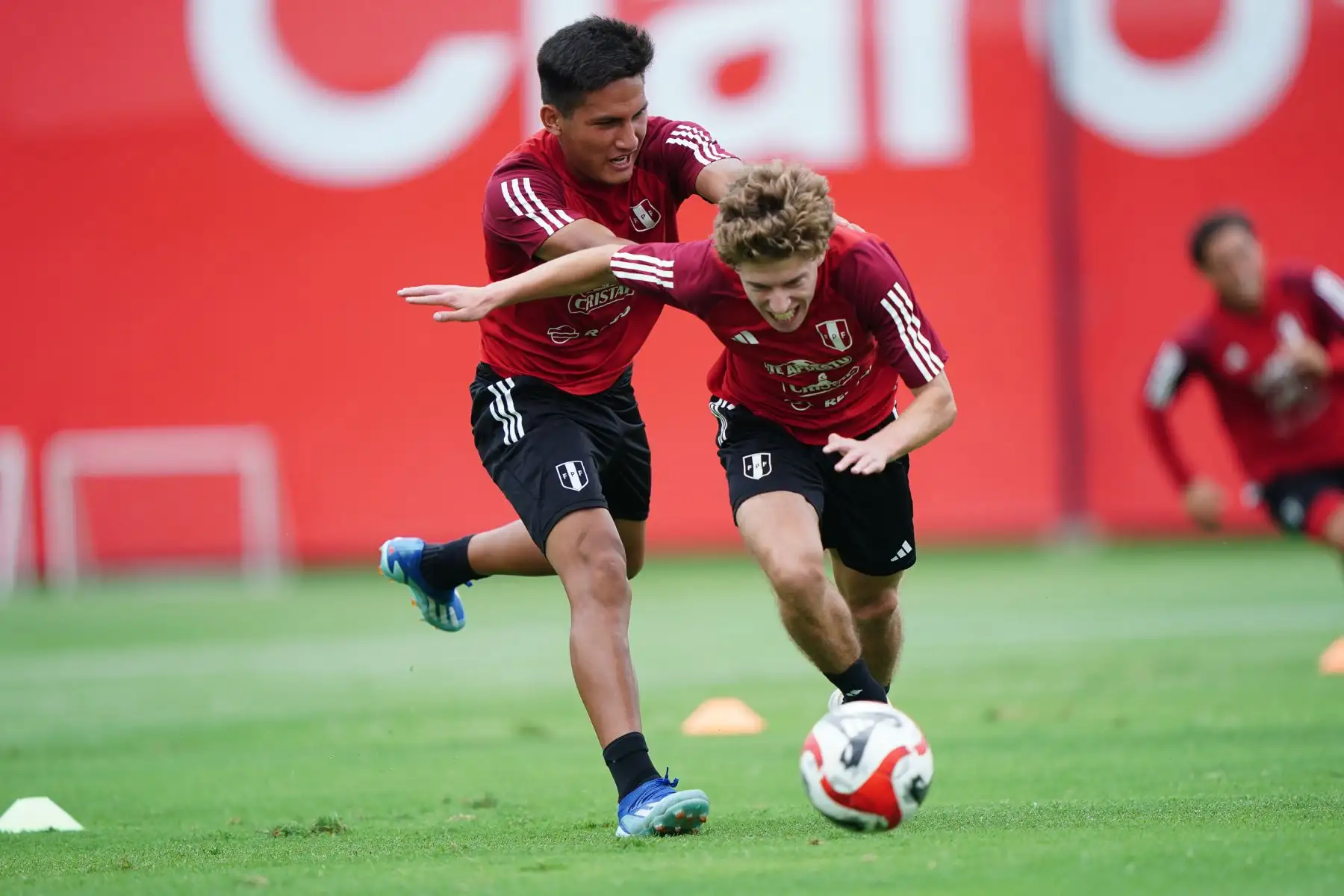 LaBicolor Sub 23 continúa entrenando en la Videna al mando de José Guillermo "Chemo" del Solar. El combinado nacional se prepara para competir en el CONMEBOL Preolímpico 2024 que se disputará en Venezuela.
Foto: ANDINA/FPF