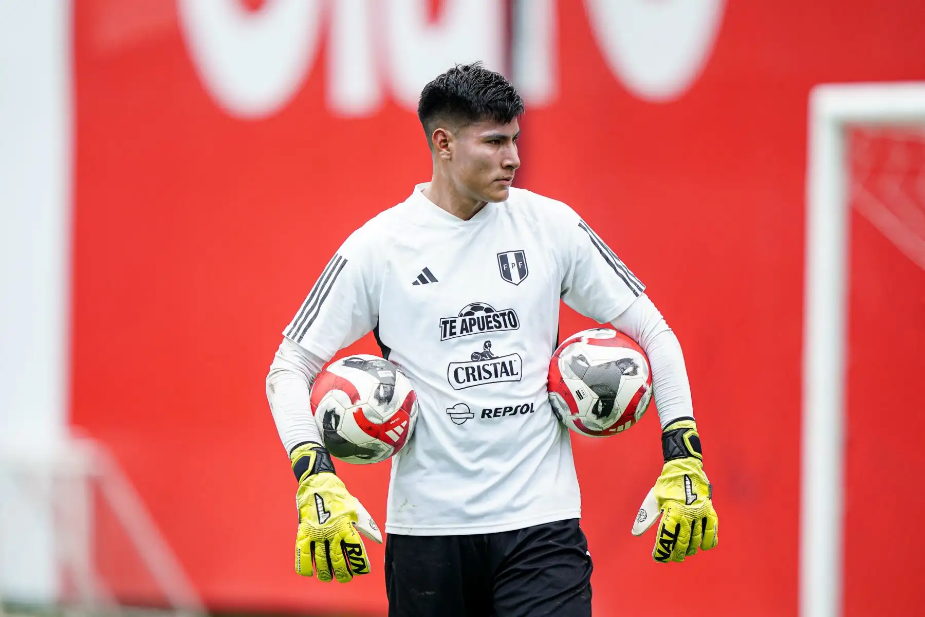 LaBicolor Sub 23 continúa entrenando en la Videna al mando de José Guillermo "Chemo" del Solar. El combinado nacional se prepara para competir en el CONMEBOL Preolímpico 2024 que se disputará en Venezuela.
Foto: ANDINA/FPF
