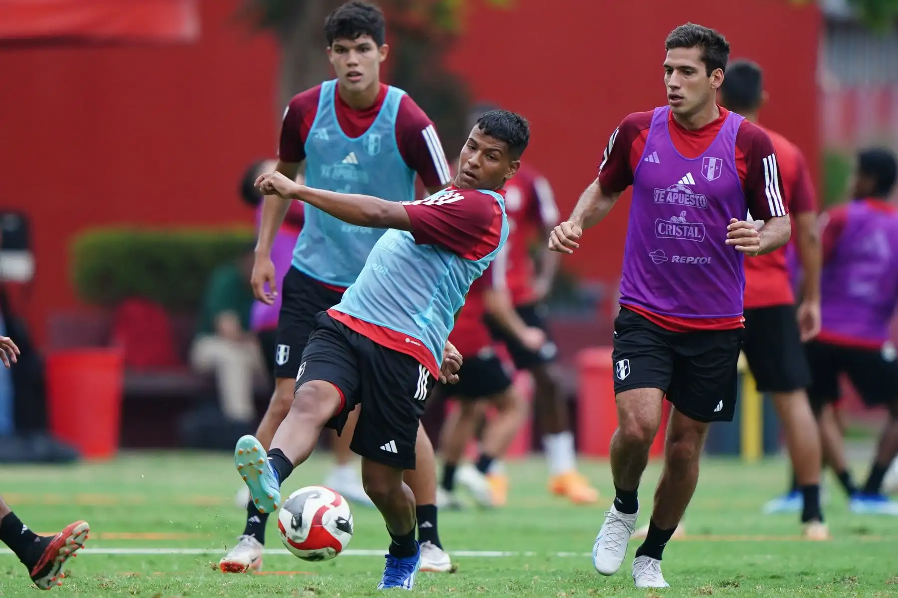 LaBicolor Sub 23 continúa entrenando en la Videna al mando de José Guillermo "Chemo" del Solar. El combinado nacional se prepara para competir en el CONMEBOL Preolímpico 2024 que se disputará en Venezuela.
Foto: ANDINA/FPF