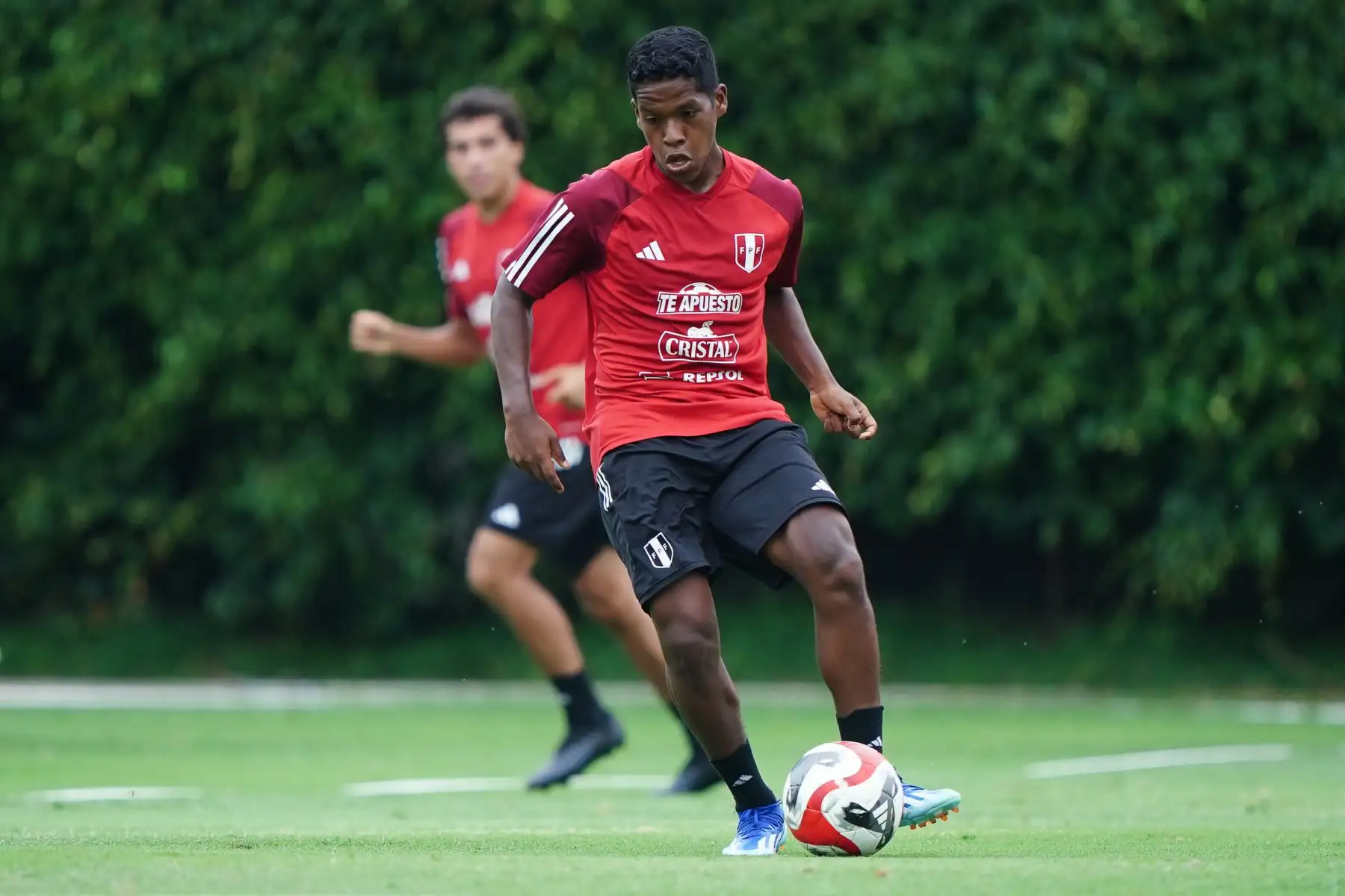 LaBicolor Sub 23 continúa entrenando en la Videna al mando de José Guillermo "Chemo" del Solar. El combinado nacional se prepara para competir en el CONMEBOL Preolímpico 2024 que se disputará en Venezuela.
Foto: ANDINA/FPF