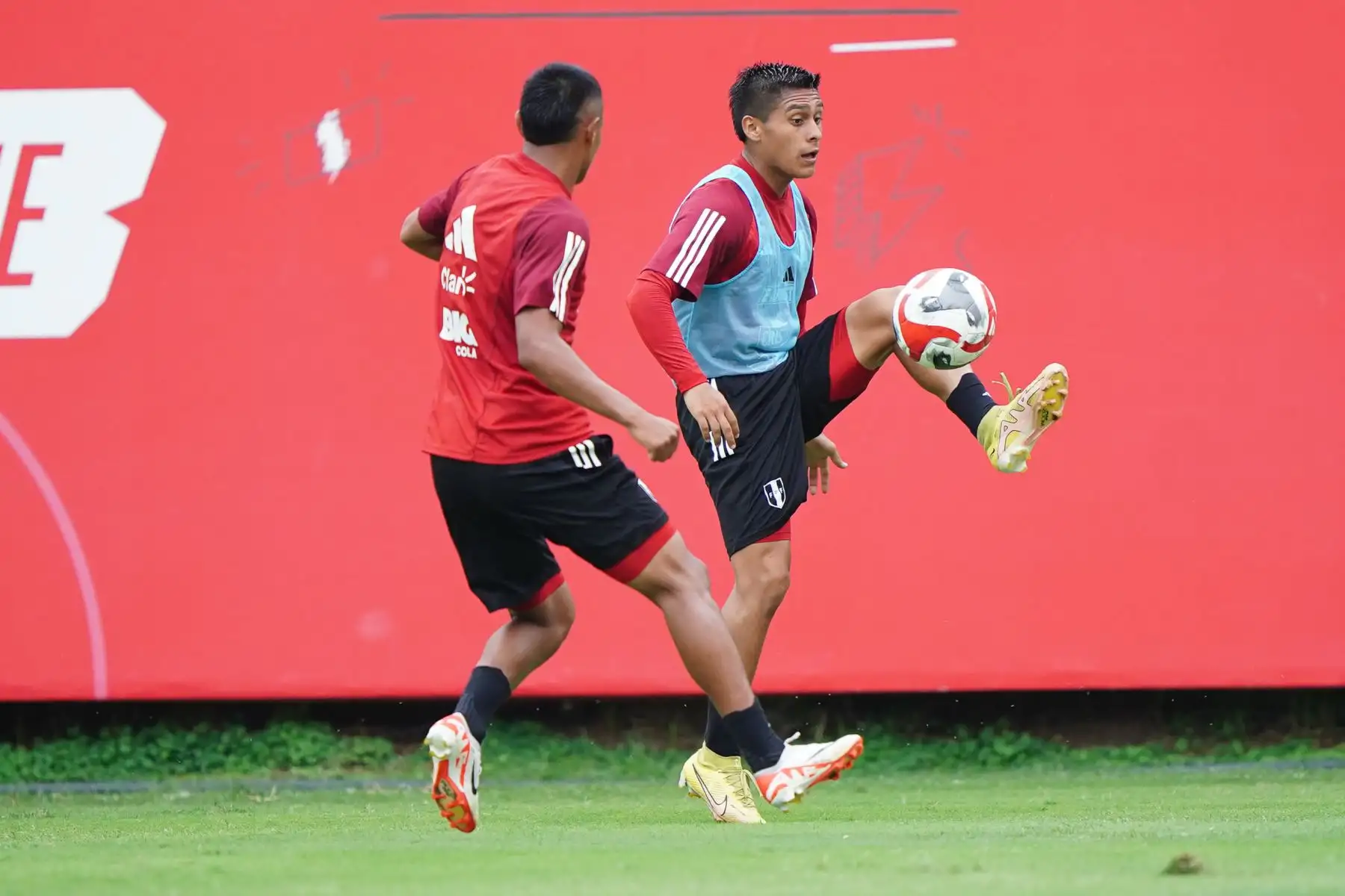 LaBicolor Sub 23 continúa entrenando en la Videna al mando de José Guillermo "Chemo" del Solar. El combinado nacional se prepara para competir en el CONMEBOL Preolímpico 2024 que se disputará en Venezuela.
Foto: ANDINA/FPF
