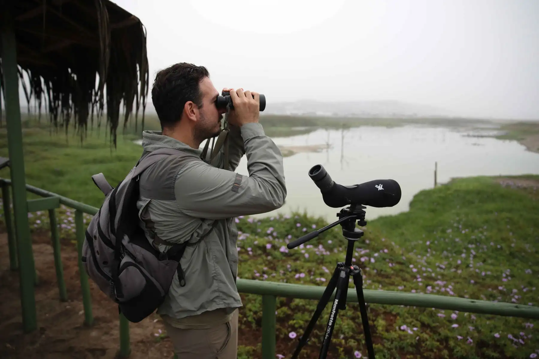 Un hombre observa aves desde un mirador del refugio de vida silvestre "Los Pantanos de Villa", hoy, en el sur de Lima (Perú). Perú se ha convertido en el "líder mundial con la mayor diversidad de aves del planeta", al alcanzar un registro de 1.879 especies de este tipo, con lo que superó a Colombia. Foto: ANDINA/EFE