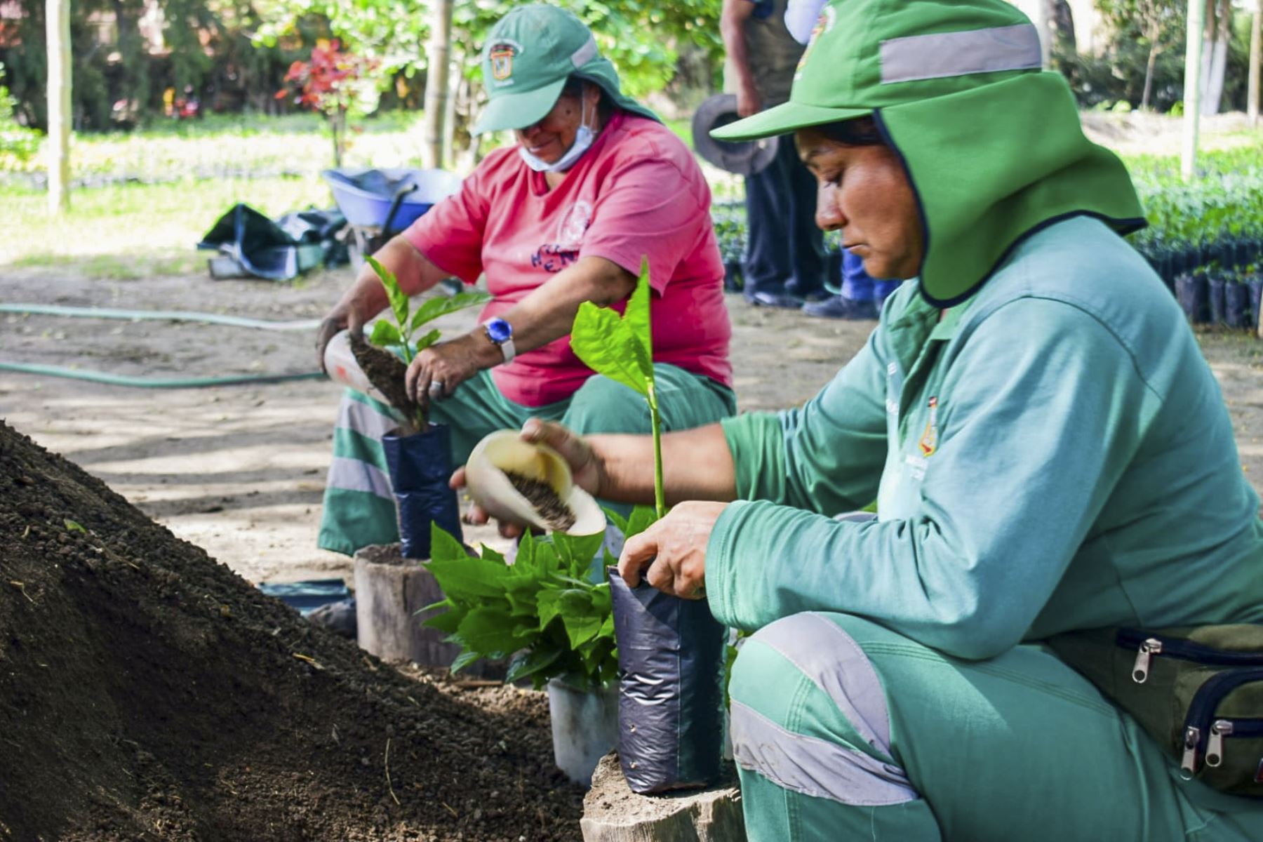 La municipalidad provincial de Chiclayo promueve la responsabilidad ambiental y la mitigación de daños ocasionados por el cambio climático. Foto: ANDINA/Difusión