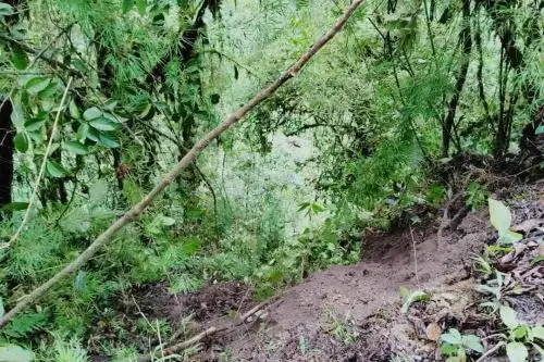 Zona de accidente protagonizado por vehículo en el que viajaban siete personas, integrantes de una familia. Foto: ANDINA/Difusión