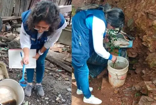 Como parte de la lucha contra el zancudo que transmite el dengue, la Red de Salud de La Convención, perteneciente a la Gerencia Regional de Salud (Geresa) Cusco, inició las acciones de control larvario en más de 9,000 viviendas de 24 sectores de la ciudad de Quillabamba.