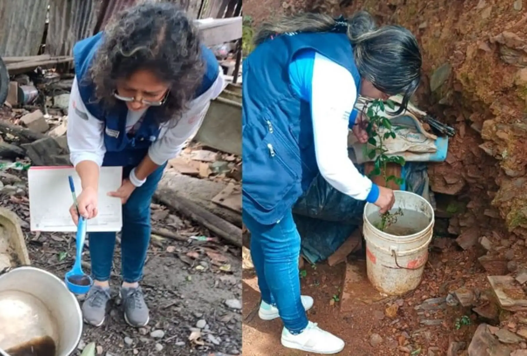 Como parte de la lucha contra el zancudo que transmite el dengue, la Red de Salud de La Convención, perteneciente a la Gerencia Regional de Salud (Geresa) Cusco, inició las acciones de control larvario en más de 9,000 viviendas de 24 sectores de la ciudad de Quillabamba.