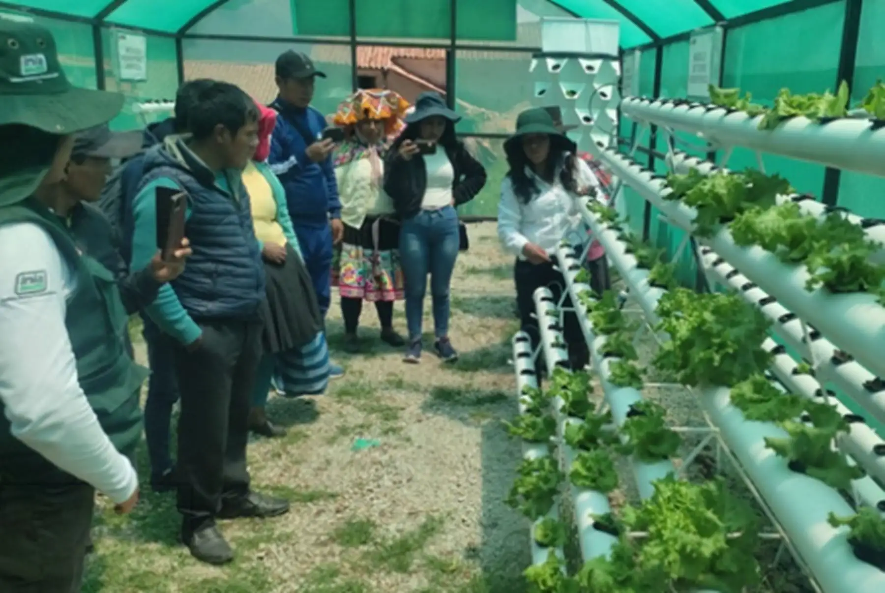 Midagri instaló 500 módulos hidropónicos para combatir sequía en Cusco
