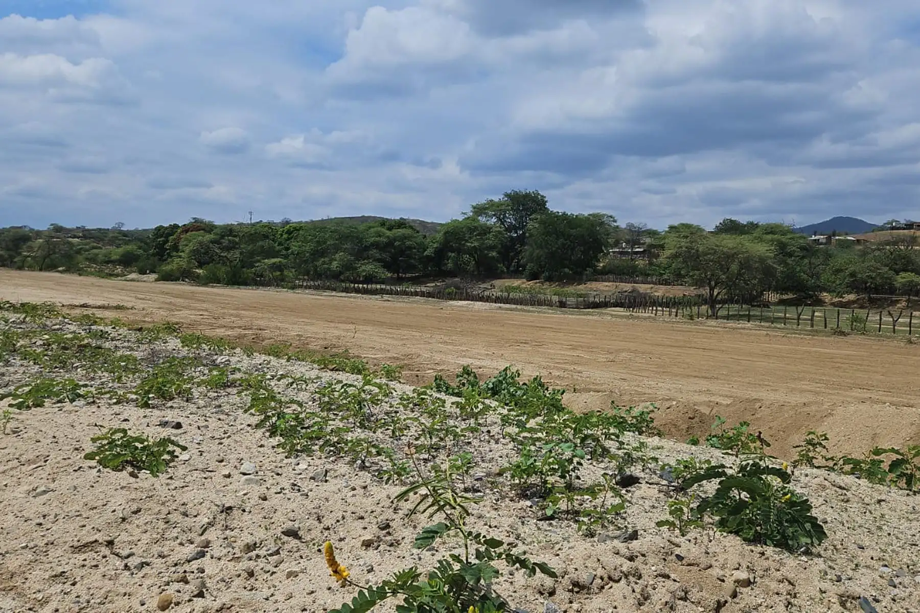 La ministra de Desarrollo Agrario y Riego, Jennifer Contreras, llegó a la región Tumbes para fortalecer el trabajo conjunto con autoridades locales y supervisar los trabajos realizados en diversos ríos y quebradas e identificar nuevos puntos críticos para articular acciones inmediatas que permitan mitigar el impacto del Fenómeno El Niño.
Foto: Midagri