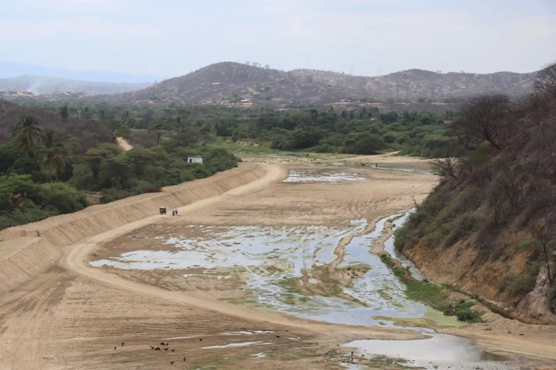 La ministra de Desarrollo Agrario y Riego, Jennifer Contreras, llegó a la región Tumbes para fortalecer el trabajo conjunto con autoridades locales y supervisar los trabajos realizados en diversos ríos y quebradas e identificar nuevos puntos críticos para articular acciones inmediatas que permitan mitigar el impacto del Fenómeno El Niño.
Foto: Midagri