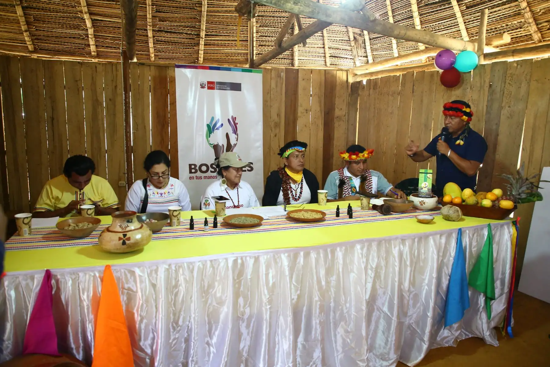 Ministra del Ambiente, Albina Ruiz entregó cheques a un grupo de comunidades nativas y/o pequeños usuarios del bosque para el financiamiento de planes de negocio que contribuyan a su conservación, en la provincia de Lamas.
Foto: Ministerio del Ambiente
