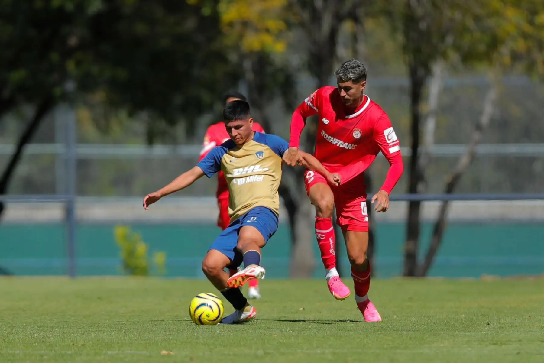 Piero Quispe  es presentado oficialmente en los Pumas de la UNAM Foto: Pumas MX