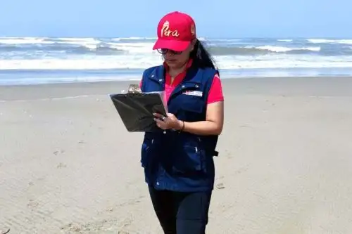 La playa de Pimentel es de aguas tranquilas y en verano es muy concurrida por los veraneantes que buscan aplacar las altas temperaturas. Foto: ANDINA/Difusión