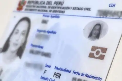 Desde el 1 de mayo la consulta de ficha Reniec será exclusivamente con DNI electrónico. Foto: ANDINA.