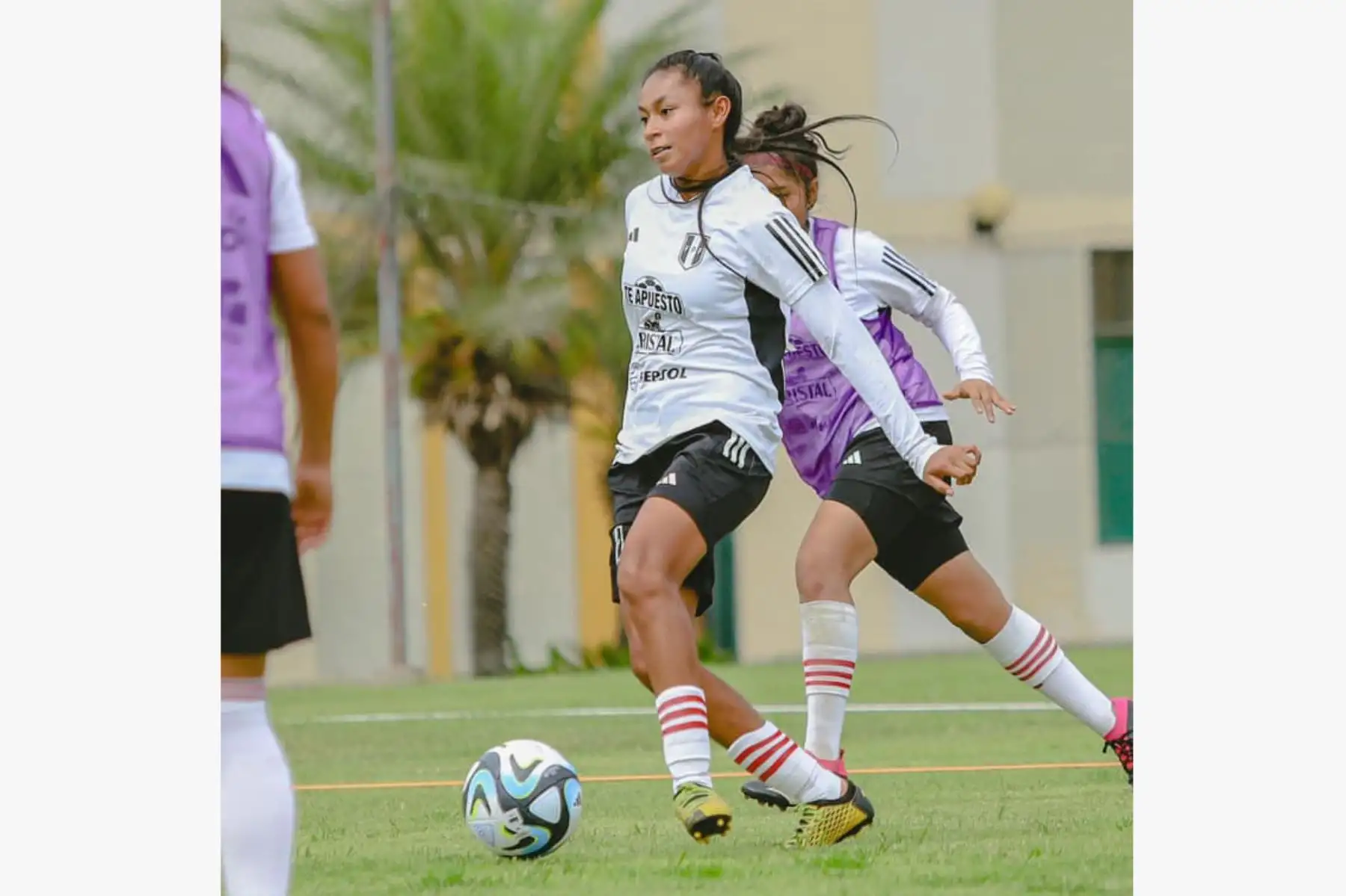 La Bicolor Femenina inició sus trabajos deportivos; y es que del 10 al 19 de enero, la categoría SUB20 realizará el primer microciclo de año, en el Complejo Deportivo de La Videnita de Chincha.
Foto:FPF