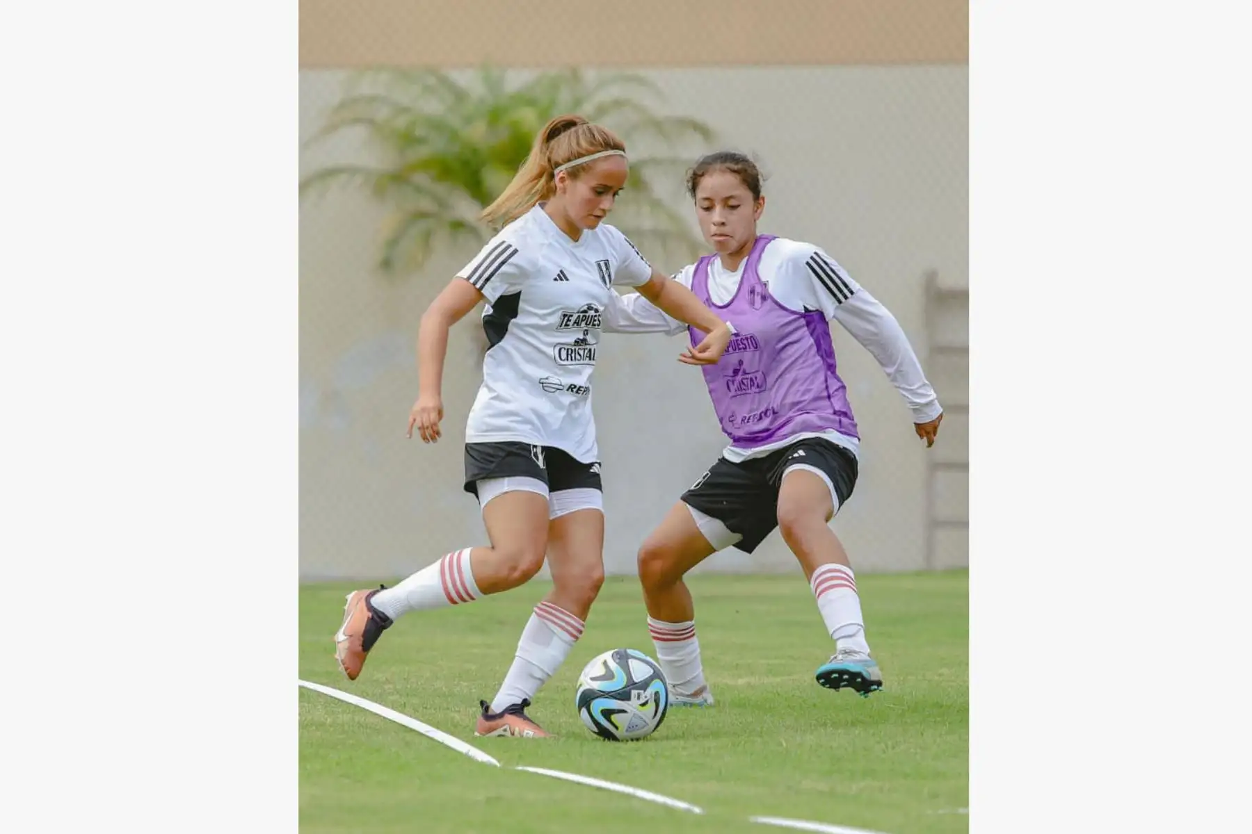 La Bicolor Femenina inició sus trabajos deportivos; y es que del 10 al 19 de enero, la categoría SUB20 realizará el primer microciclo de año, en el Complejo Deportivo de La Videnita de Chincha.
Foto:FPF