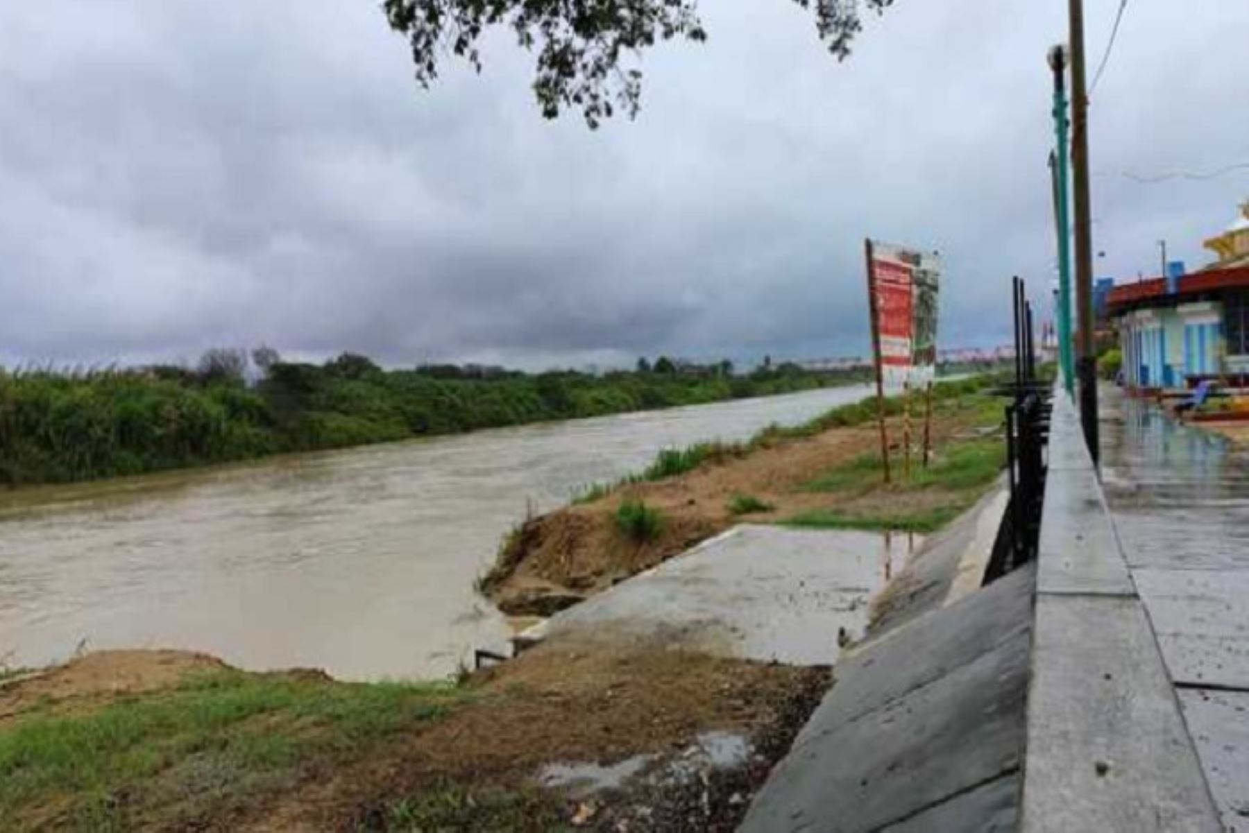 ANDINA/Difusión. Alerta en Huánuco: río Huallaga alcanzó umbral rojo y amenaza 12 centros poblados
