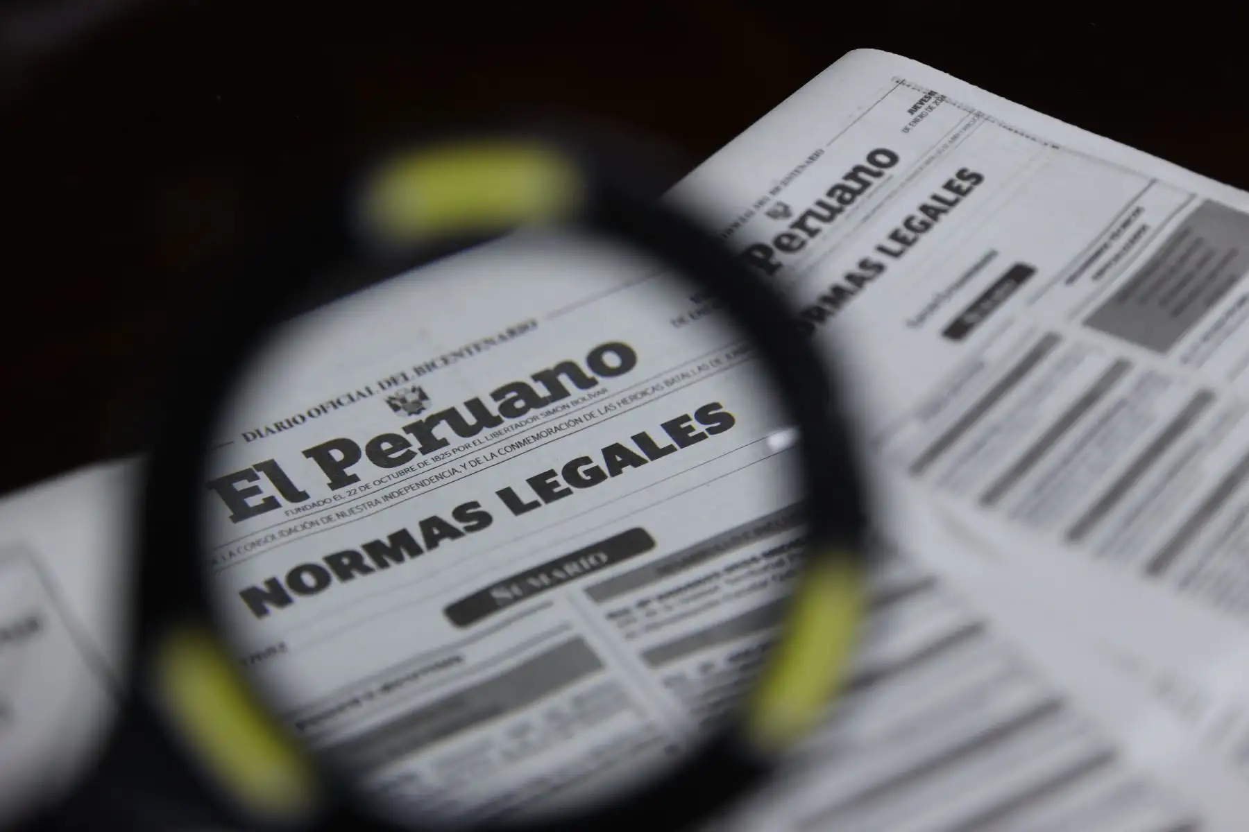 Foto: ANDINA/Juan Carlos Guzmán.