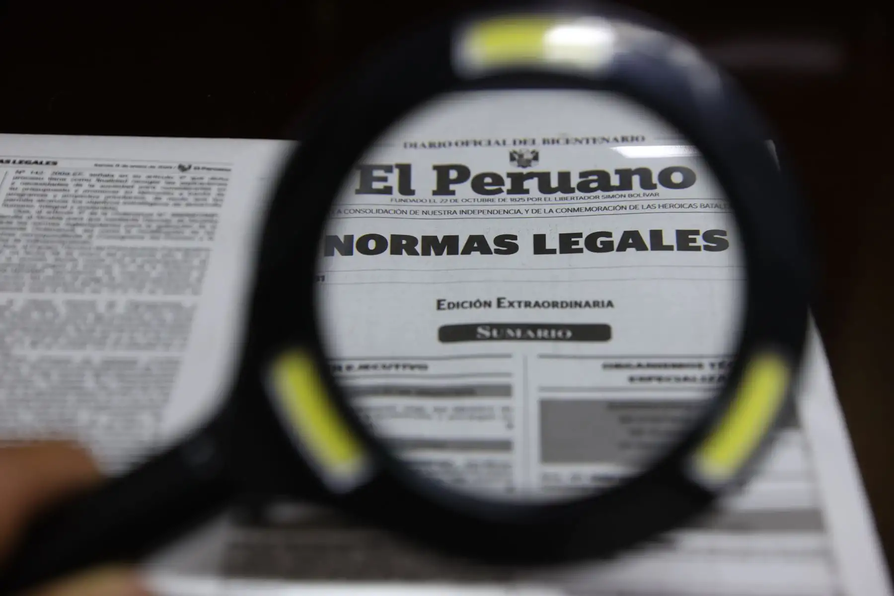 Foto: ANDINA/Juan Carlos Guzmán.
