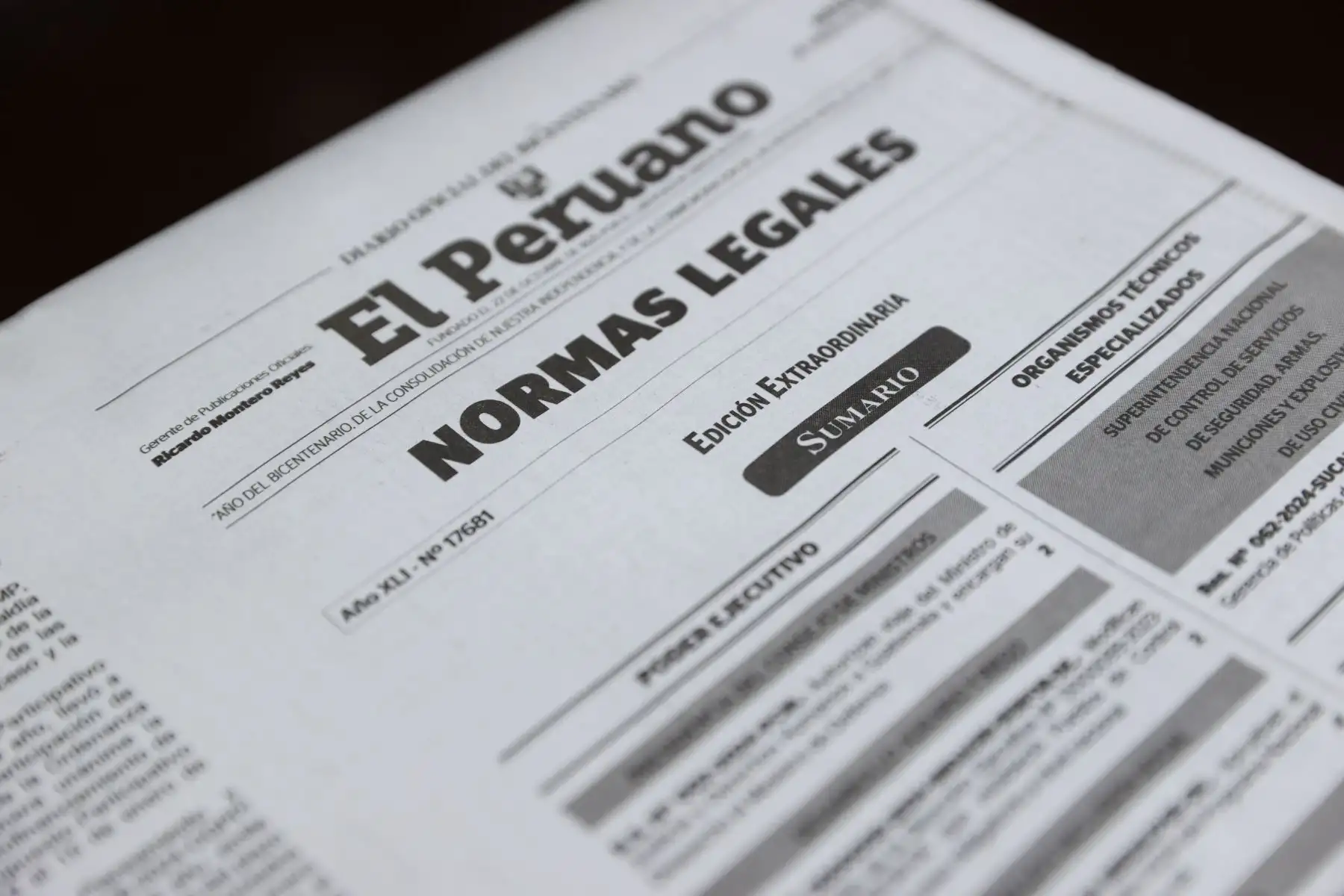 Foto: ANDINA/Juan Carlos Guzmán.