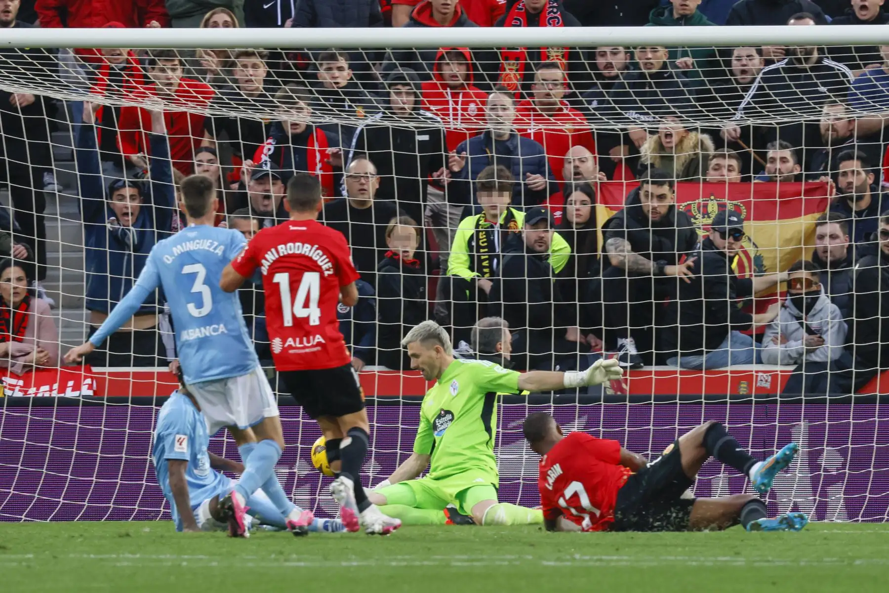 El delantero canadiense del Mallorca, Cyle Larin consigue el primer gol de su equipo durante el partido de La Liga entre el Mallorca y el Celta que se disputa  en el estadio de Son Moix. 
Foto: EFE