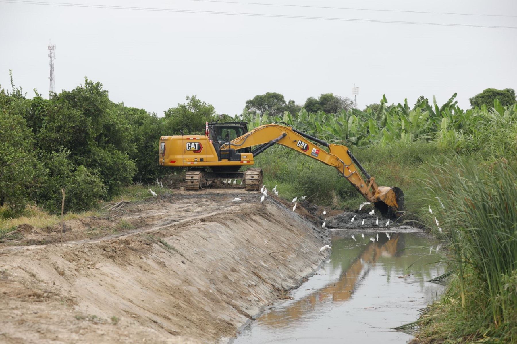 Limpieza de cauces de ríos, drenes y quebradas. Cortesía MVCS