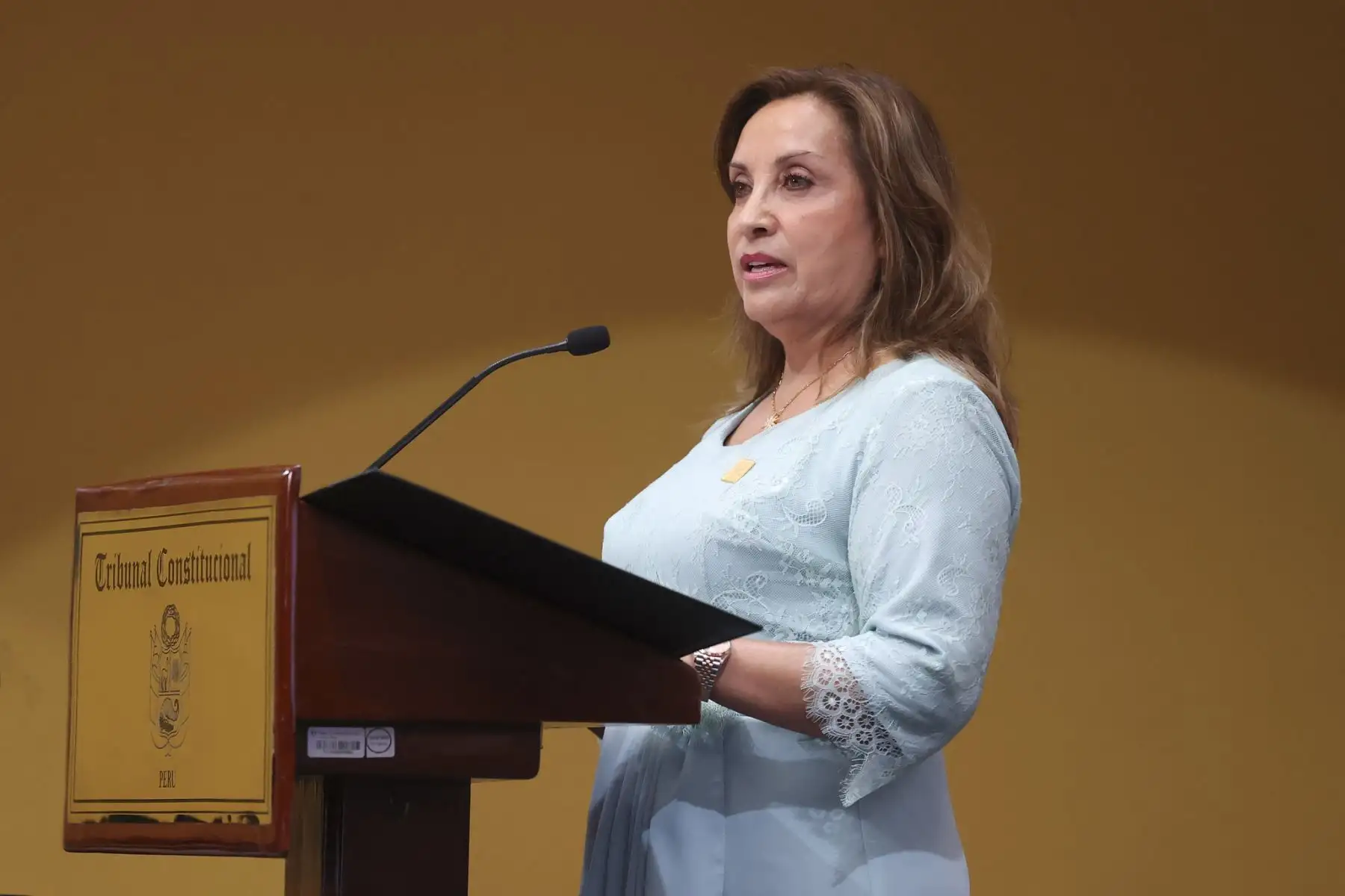Presidenta Dina Boluarte participa en la ceremonia de apertura del Año Jurisdiccional del Tribunal Constitucional.
Foto: ANDINA/Prensa Presidencia