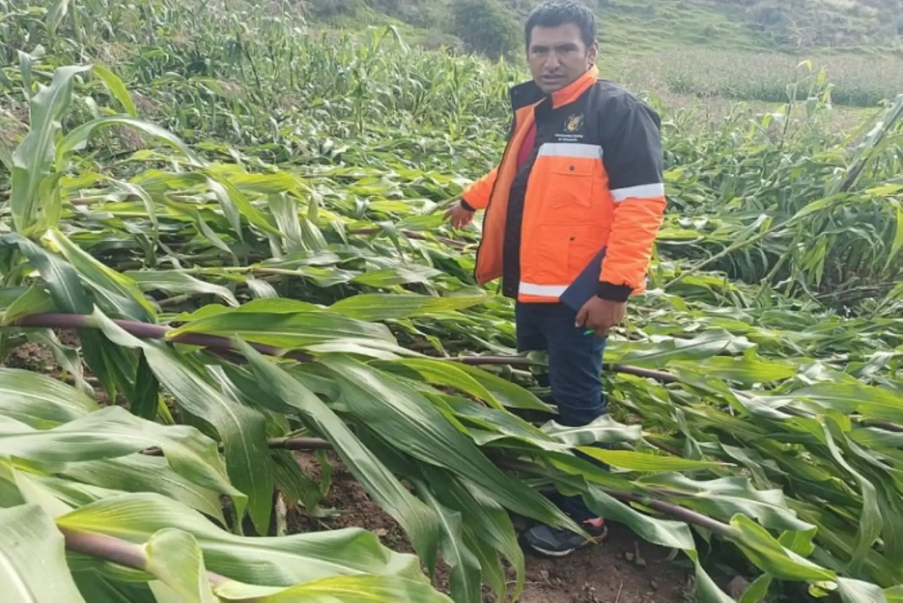 El Indeci informó que no se registraron daños a la vida ni la salud de las personas por los vientos fuertes. Foto: ANDINA/Difusión