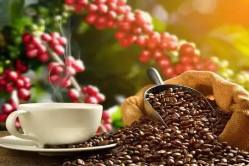 El café peruano es apreciado en el mundo por sus cualidades en sabor, aroma y cuerpo (imagen referencial). Foto: ANDINA/Difusión.