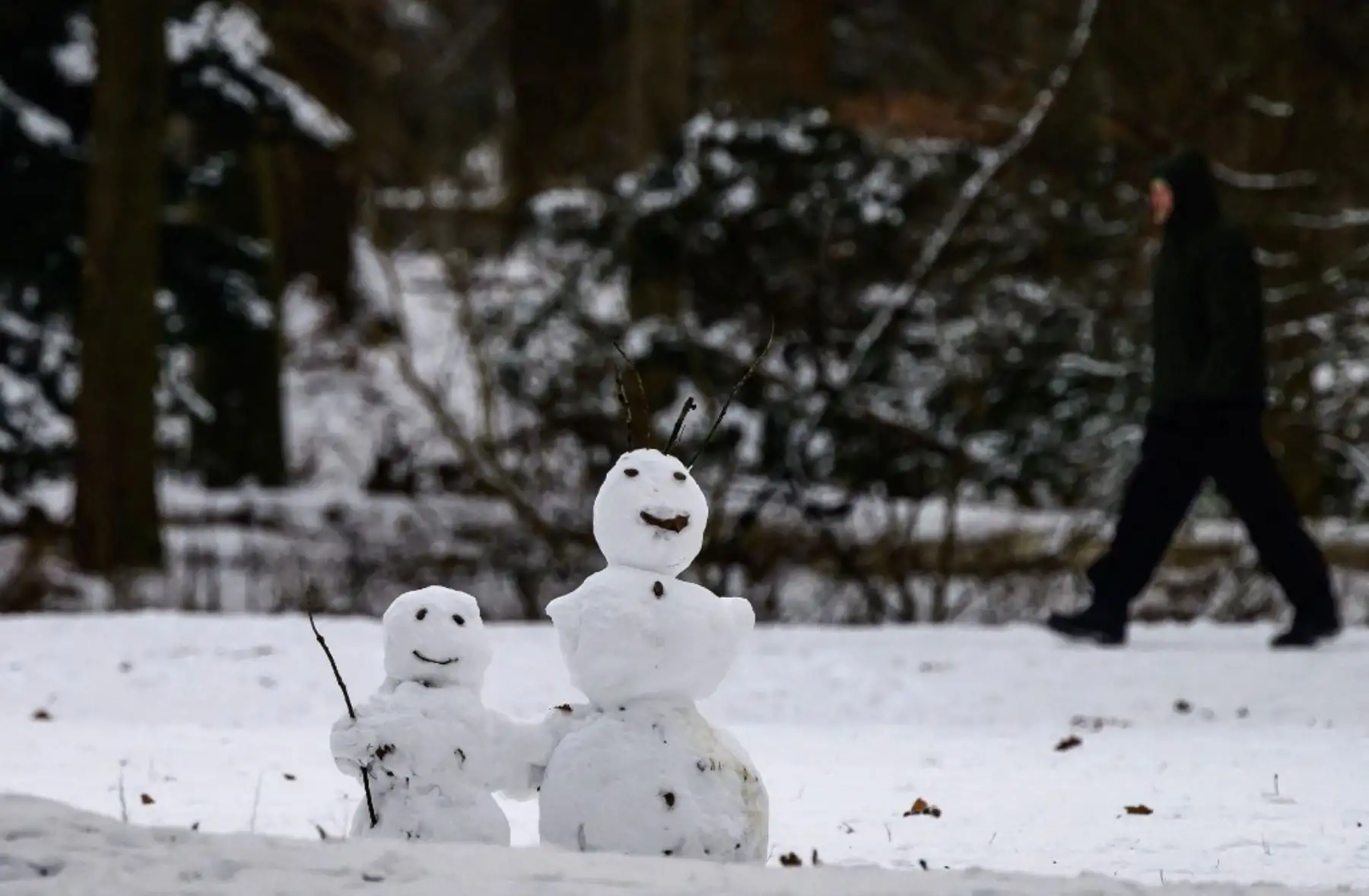 Un hombre pasa junto a muñecos de nieve en el parque Tiergarten de Berlín después de una nevada en la capital alemana el 17 de enero de 2024. Foto: AFP