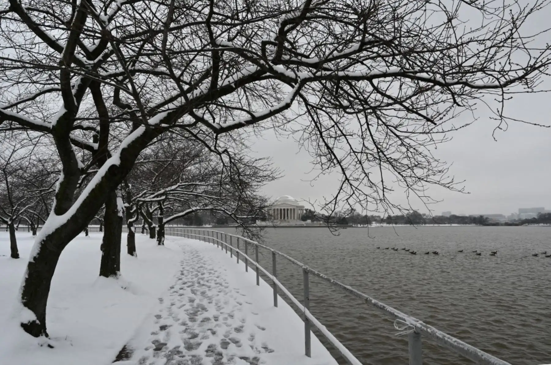 El Jefferson Memorial se ve al otro lado de Tidal Basin en Washington DC. Foto: AFP