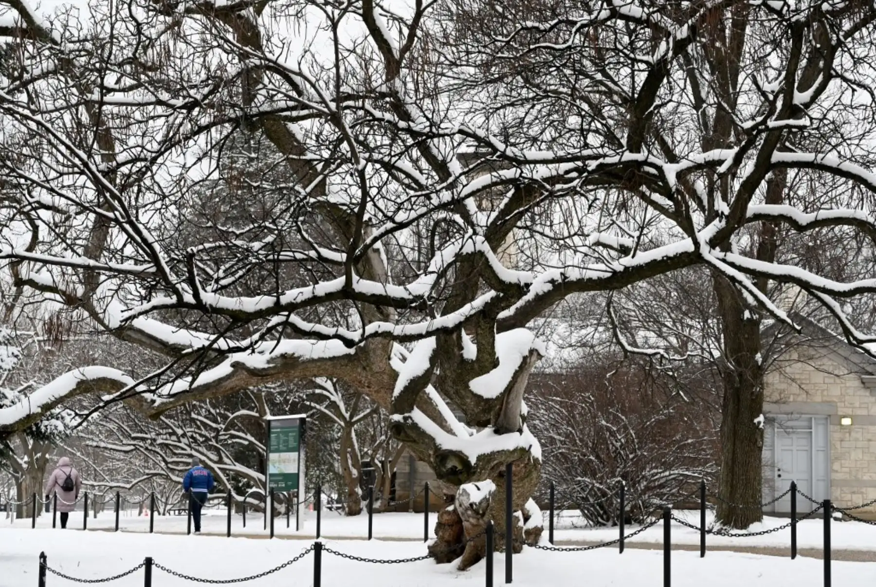 Turistas exploran el National Mall en Washington DC. Foto: AFP
