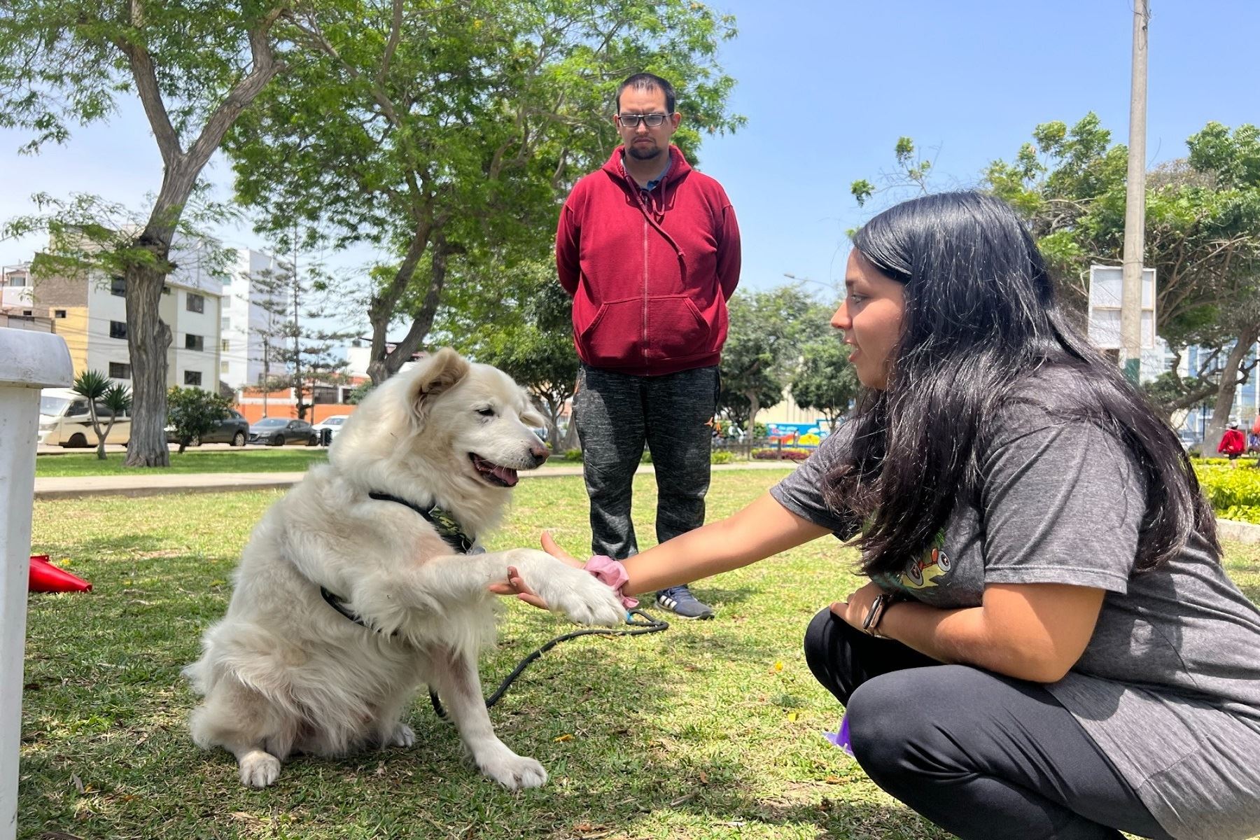 Brigada Canina de Pueblo Libre brindará clases gratuitas de adiestramiento para mascotas .