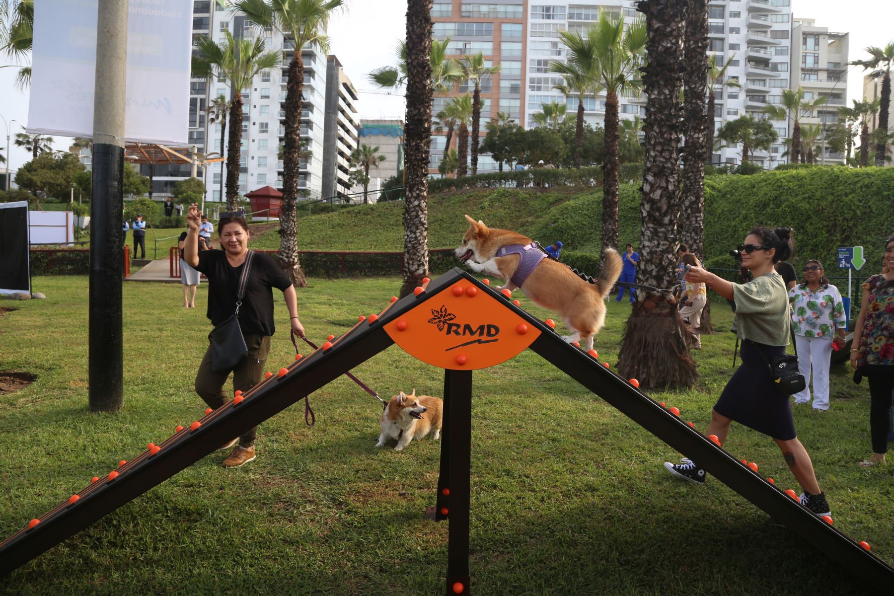 Miraflores presenta 10 renovados caniles para los amigos de cuatro patas. Foto:ANDINA/Difusión