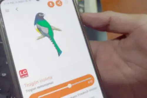 Desde cualquier parte del mundo, se puede bajar la app Amazonía: guía ilustrada. En una primera etapa para usuarios de Android. Foto: ANDINA/Minam