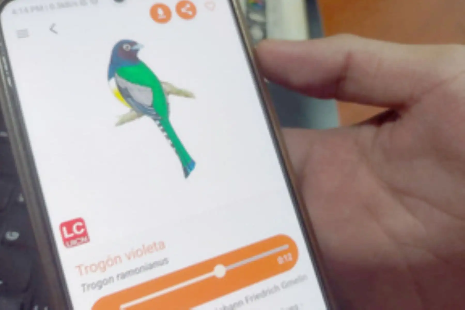 Desde cualquier parte del mundo, se puede bajar la app Amazonía: guía ilustrada. En una primera etapa para usuarios de Android. Foto: ANDINA/Minam