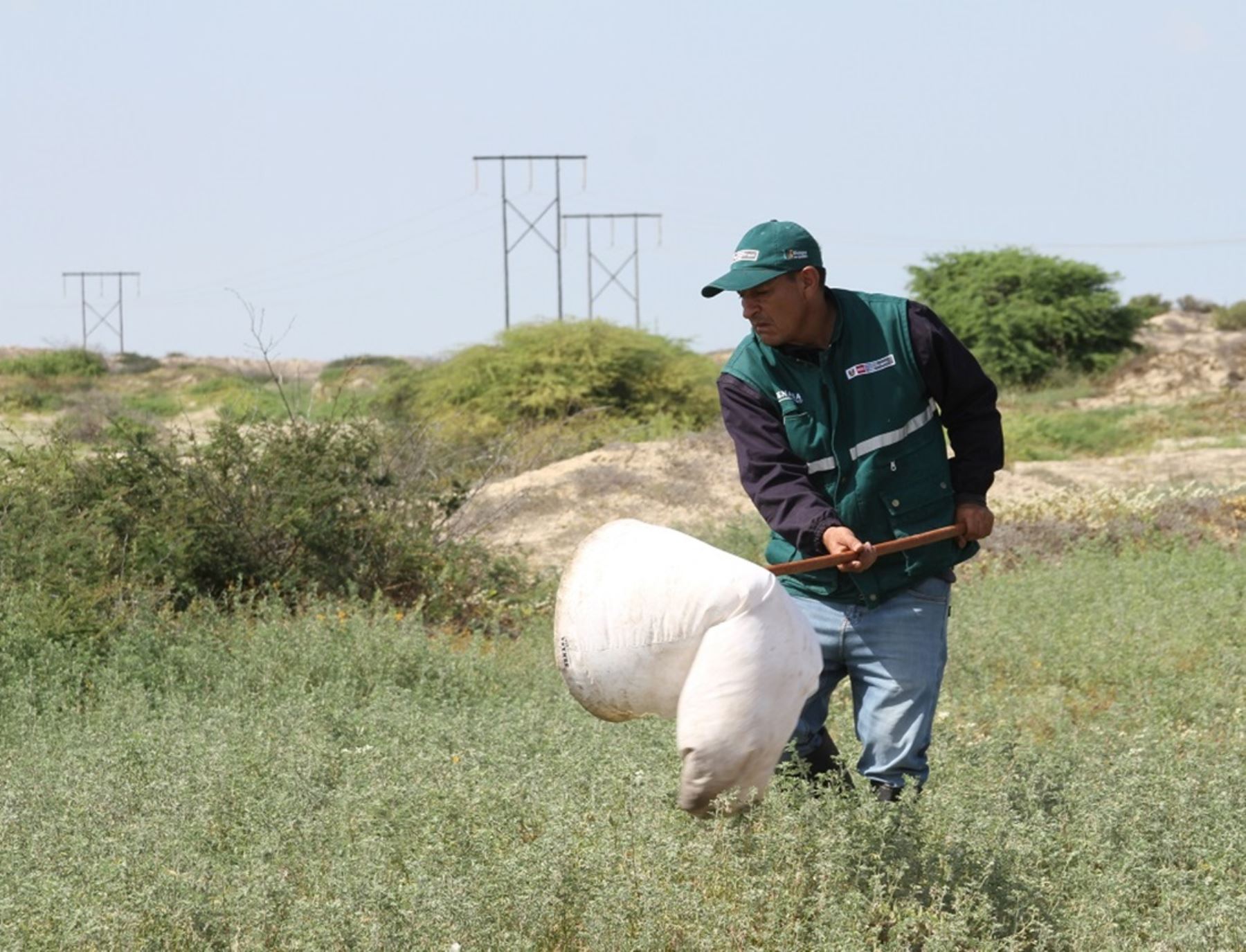 Especialistas del Senasa ejecutaron acciones de control de plagas y campañas de vacunación del ganado para mitigar posibles del Fenómeno El Niño en el sector agropecuario. ANDINA/Difusión