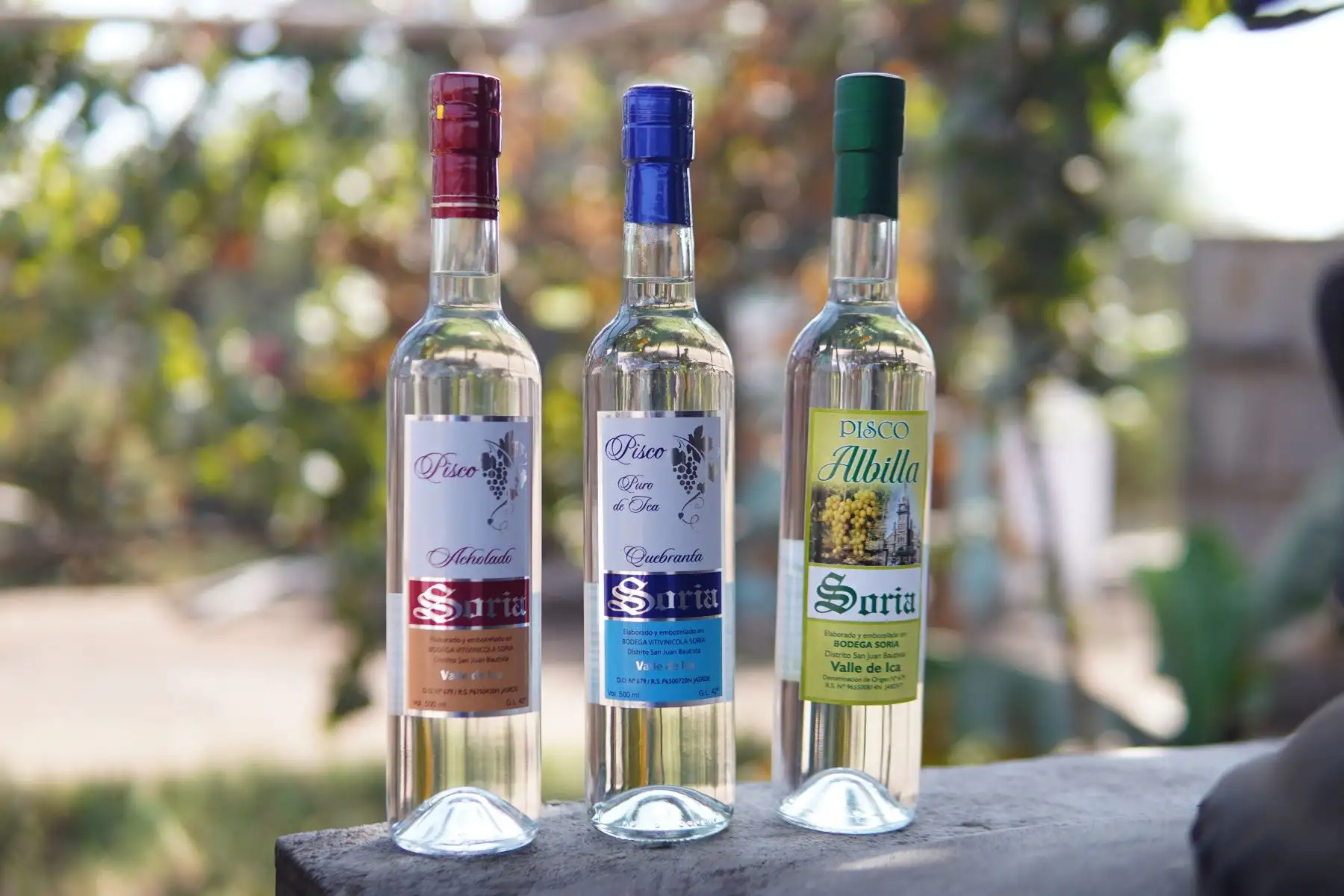 Mincetur anunció que impulsará la exportación de pisco elaborado por pequeños y medianos productores vitivinícolas de Ica. Foto: Genry Bautista