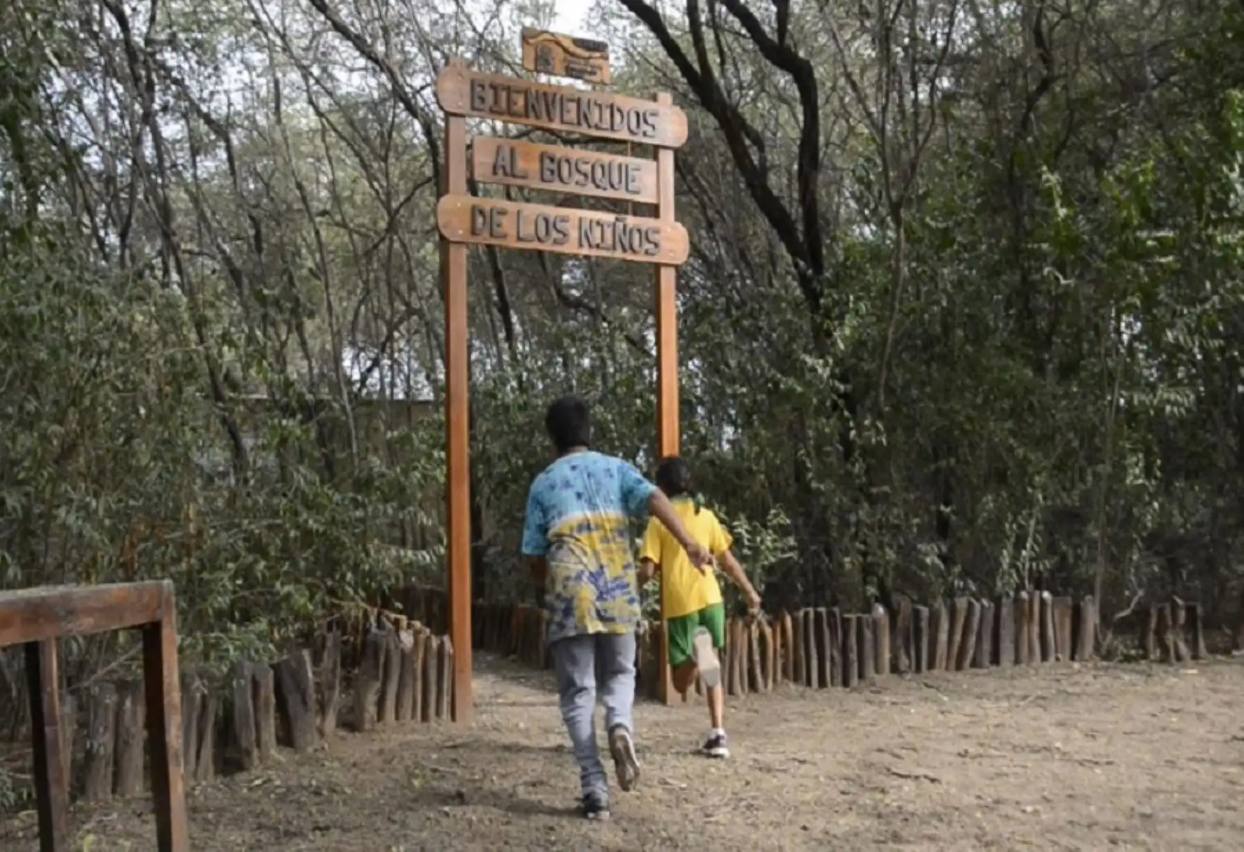 El Santuario Histórico Bosque de Pómac fue creado oficialmente el 1 de junio de 2001 con el propósito de conservar la unidad paisajística-cultural que conforma el bosque de Pómac, exponente del bosque seco tropical, con el complejo arqueológico de Sicán. Foto: ANDINA/Difusión