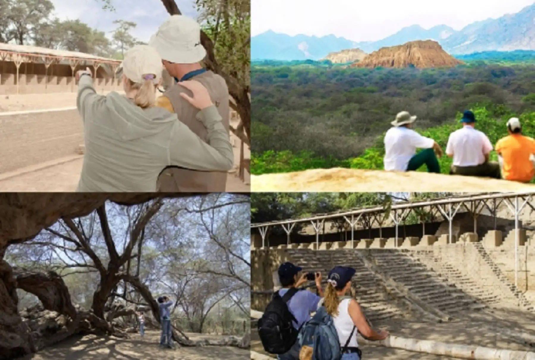El Santuario Histórico Bosque de Pómac, ubicado en la provincia de Ferreñafe, región Lambayeque, constituye uno de los más fascinantes destinos turísticos de la costa norte peruana.