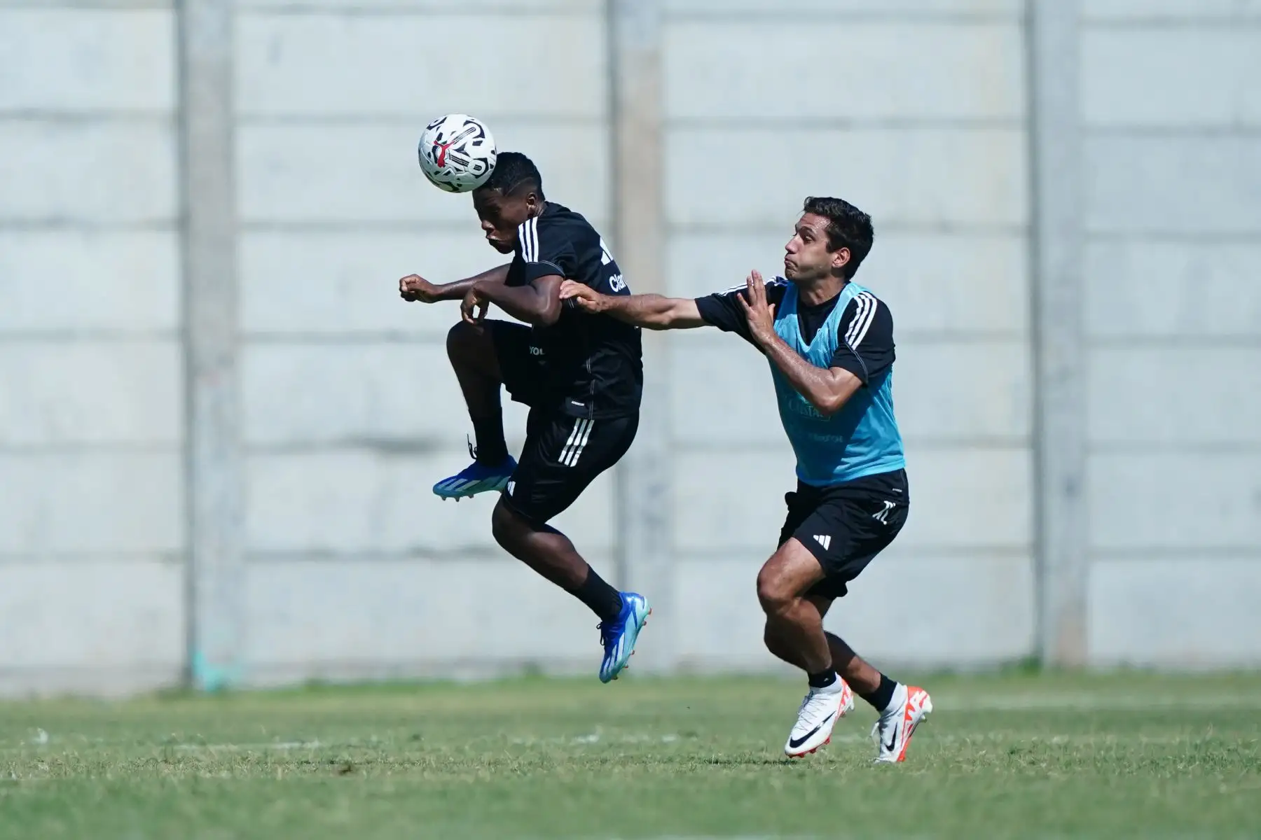 Entrenamiento de la LaBicolor Sub 23 en territorio venezolano. Este jueves la selección dirigida por Chemo del Solar realizó su segunda práctica en la ciudad de Valencia con miras al debut ante Chile que está programado para el domingo 21 de enero a las 15:00 horas (hora peruana) en el estadio Misael Delgado.
Foto: FPF