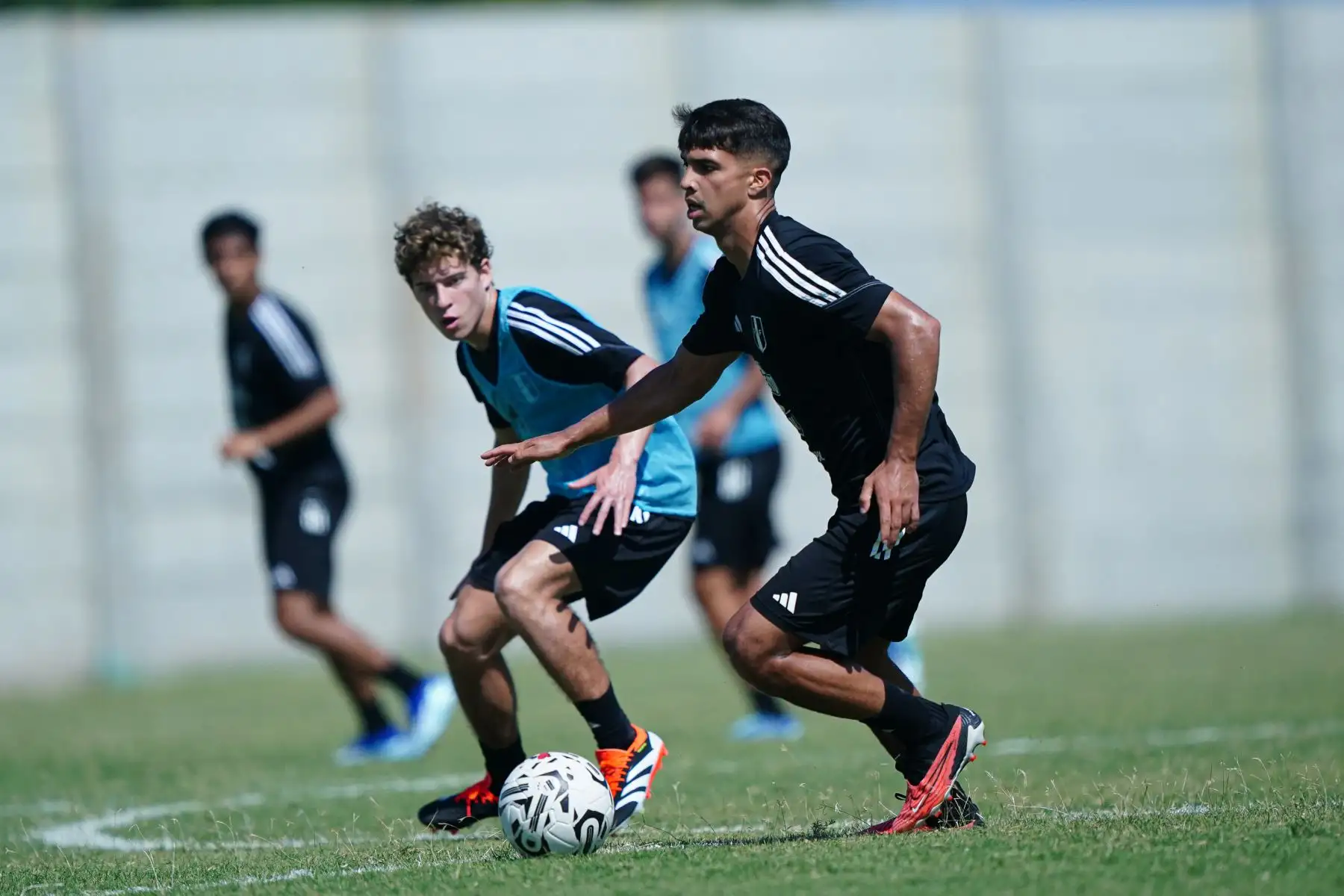 Entrenamiento de la LaBicolor Sub 23 en territorio venezolano. Este jueves la selección dirigida por Chemo del Solar realizó su segunda práctica en la ciudad de Valencia con miras al debut ante Chile que está programado para el domingo 21 de enero a las 15:00 horas (hora peruana) en el estadio Misael Delgado.
Foto: FPF