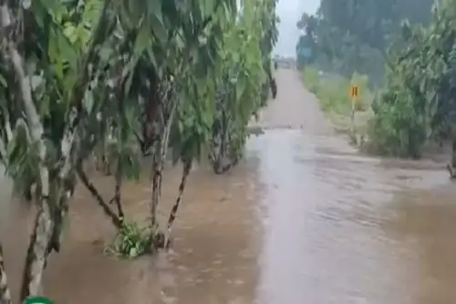 Las personas afectadas y pobladores de las zonas perjudicadas por las inundaciones ejecutan labores de limpieza en sus hogares.