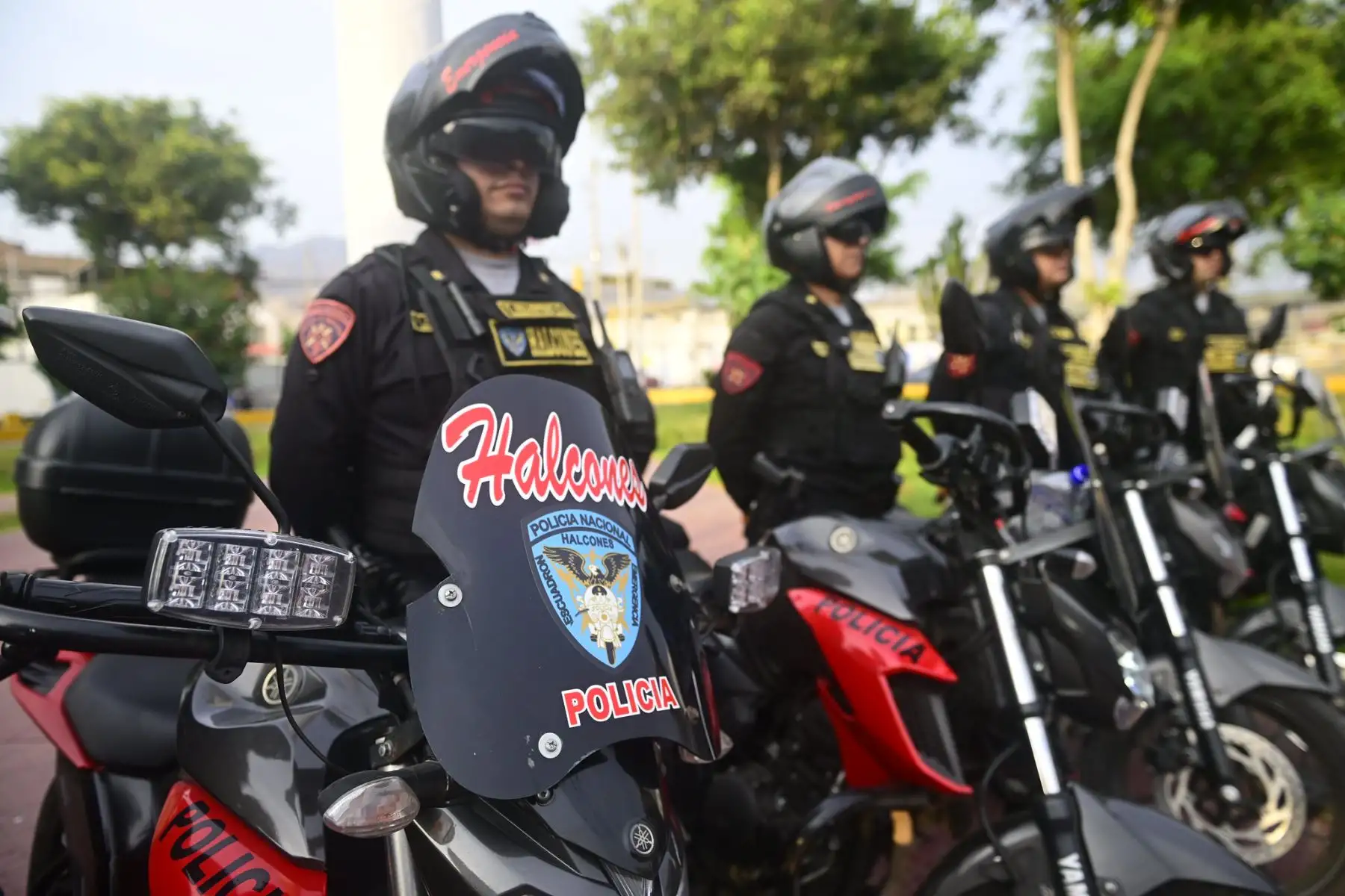 El ministro del Interior, Víctor Torres Falcón, anunció hoy el incremento de 150 efectivos para San Martín de Porres (SMP) con la finalidad de reforzar la seguridad ciudadana en este importante distrito de la capital, tras culminar el estado de emergencia en esta zona de Lima.
Foto: Mininter