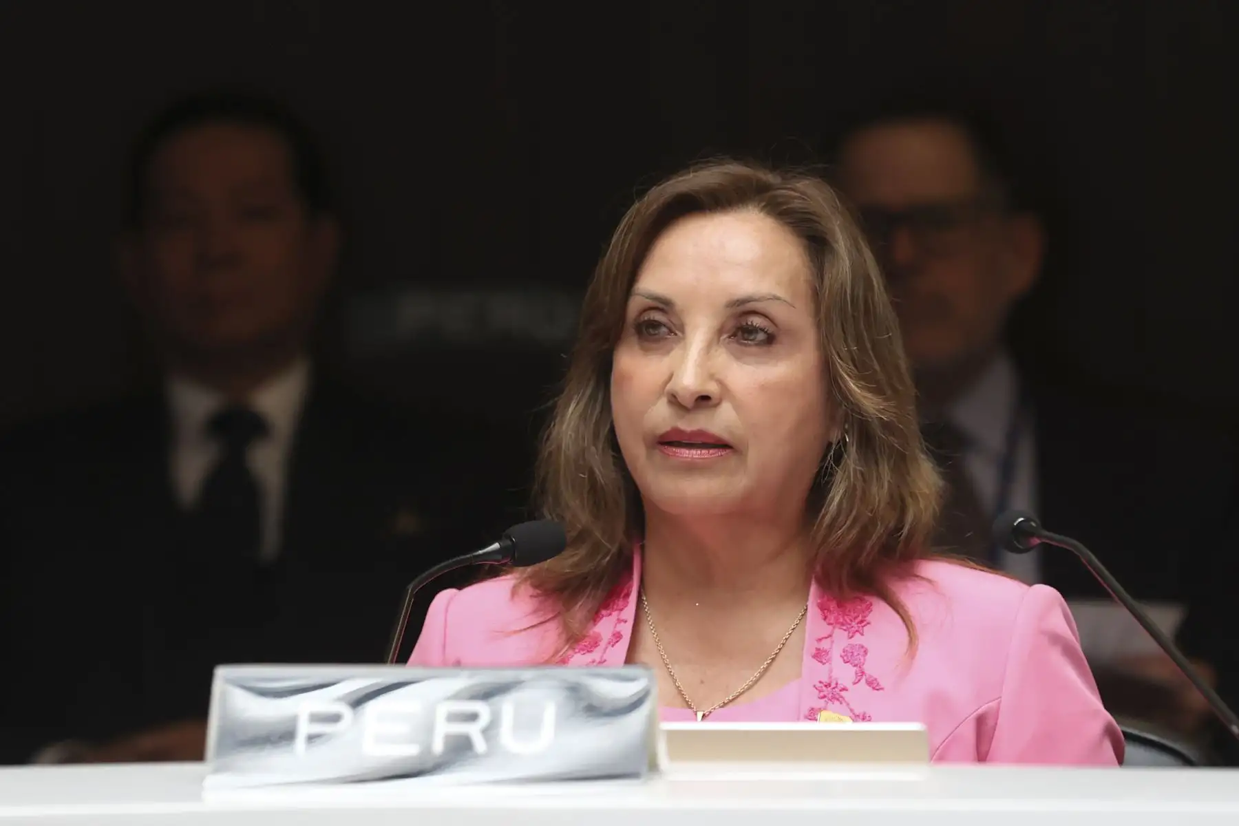 Presidenta Dina Boluarte participa en la XXIV reunión extraordinaria del Consejo Andino de Ministros de Relaciones Exteriores junto a los ministros y autoridades a cargo de la seguridad interna. Foto: Prensa Presidencia