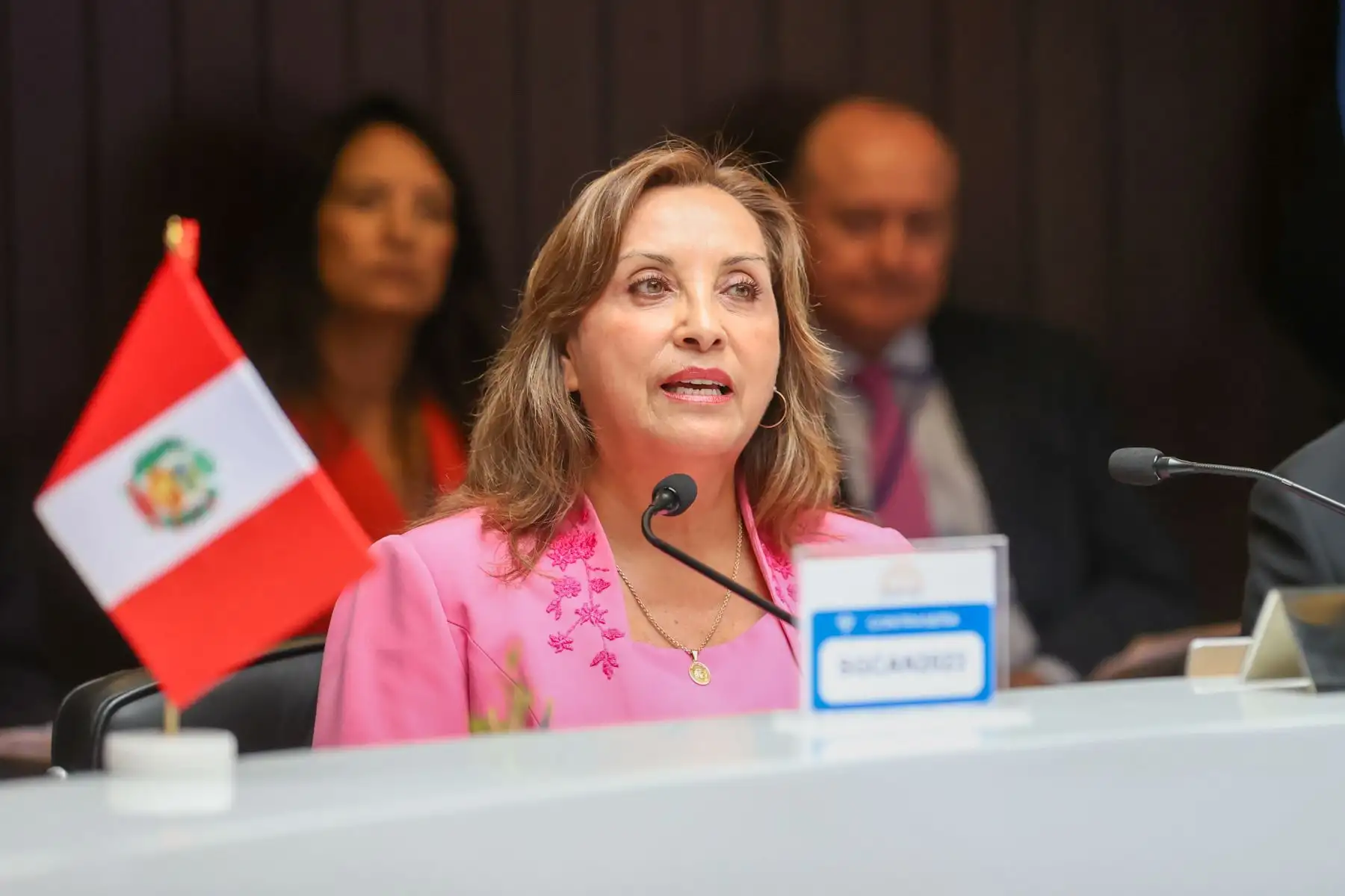 Presidenta Dina Boluarte participa en la XXIV reunión extraordinaria del Consejo Andino de Ministros de Relaciones Exteriores junto a los ministros y autoridades a cargo de la seguridad interna. Foto: Prensa Presidencia