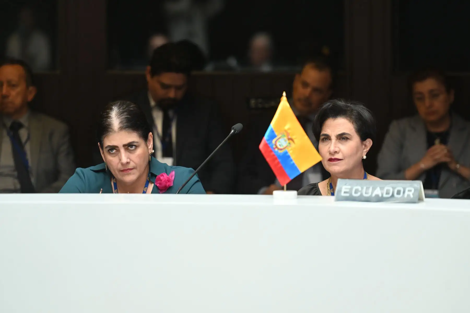 Presidenta Dina Boluarte participa en la XXIV reunión extraordinaria del Consejo Andino de Ministros de Relaciones Exteriores junto a los ministros y autoridades a cargo de la seguridad interna. Foto: Prensa Presidencia