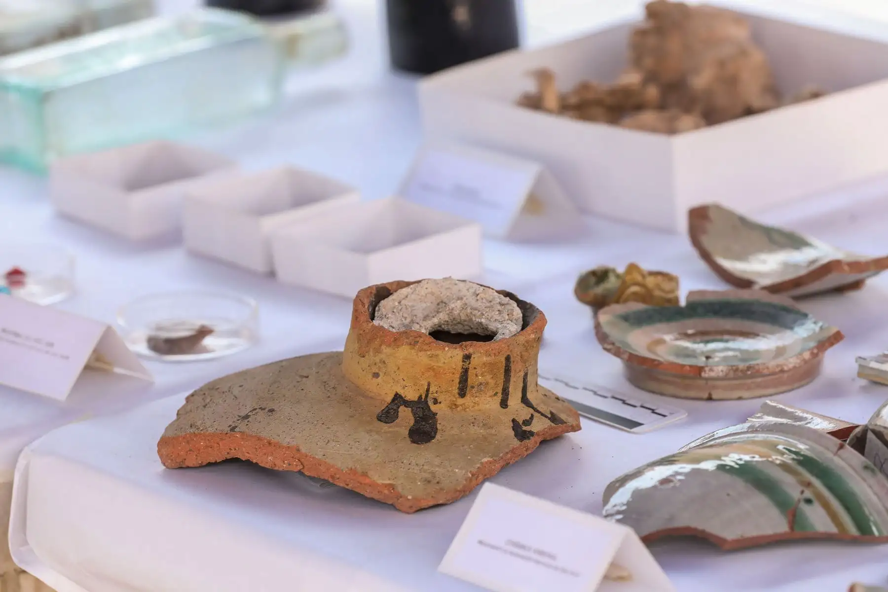 Durante los trabajos se hallaron un piso de ladrillo rojizo, cráneos de animales con incisiones de armas filudas y piedras preciosas.
Foto: ANDINA/Difusión