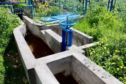 ANDINA/Difusión