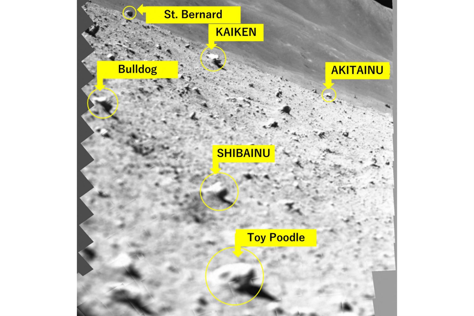 Esta fotografía publicada por la Agencia de Exploración Aeroespacial de Japón (JAXA) muestra rocas en este mosaico de imágenes monocromáticas del escaneo de la superficie lunar capturadas por el sistema multibanda. Foto: AFP